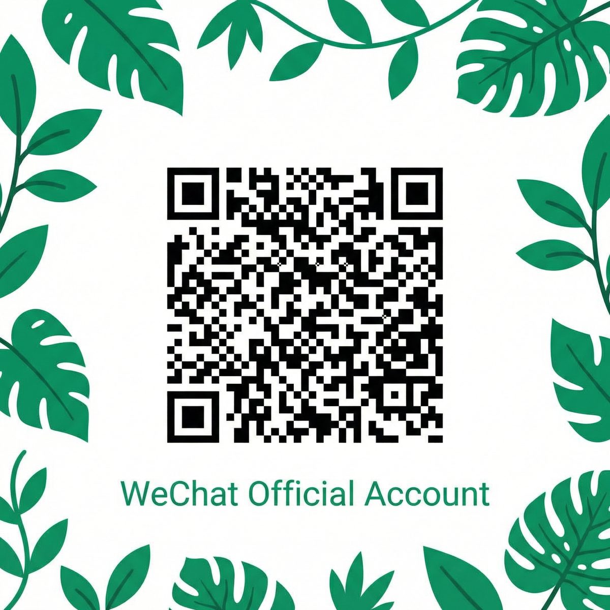 小小绘公众号